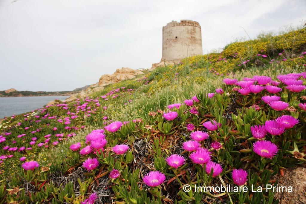Appartamenti Ideal Isola Rossa Bagian luar foto